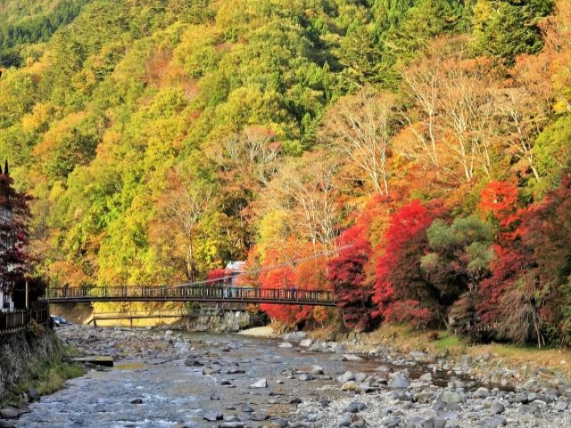 那須塩原は自然がいっぱい☆