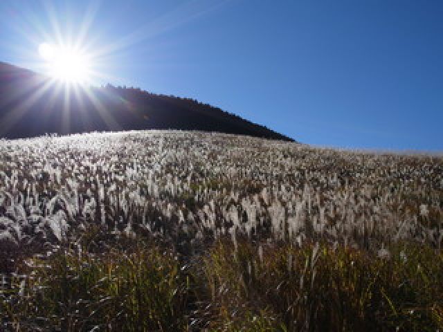 雄大な自然に囲まれた環境でのお仕事！