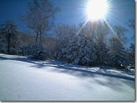 スキー場の整備をお任せします！