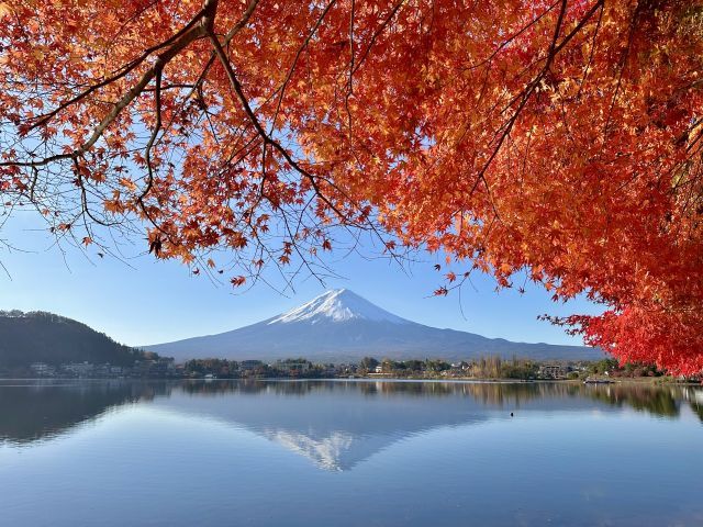秋の河口湖と富士山！紅葉も相まって綺麗な風景が楽しめる♪お休みの日に是非観光してください！