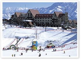 ☆☆☆仕事も大切！！！遊びも大切♪♪♪☆☆☆