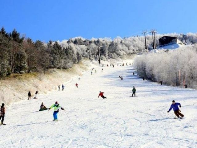 関東のスキー場でお仕事してみませんか？