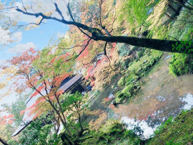 京都