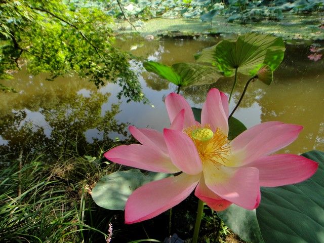 大自然の中でのリゾバを希望されている方へおすすめです♪