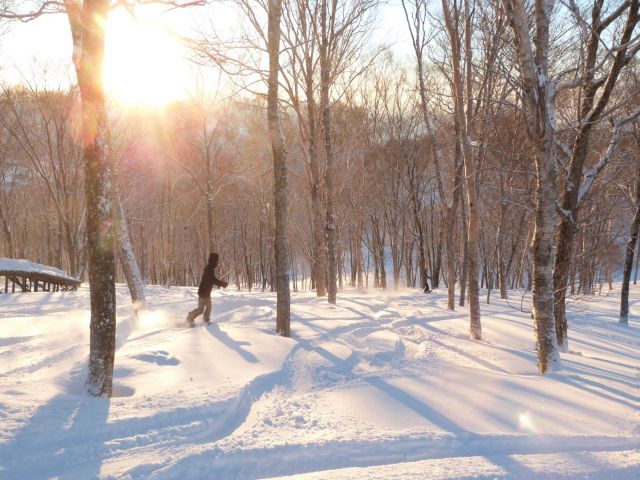 スタッフの送迎、系列スキー場を巡回する運転手さんの募集です