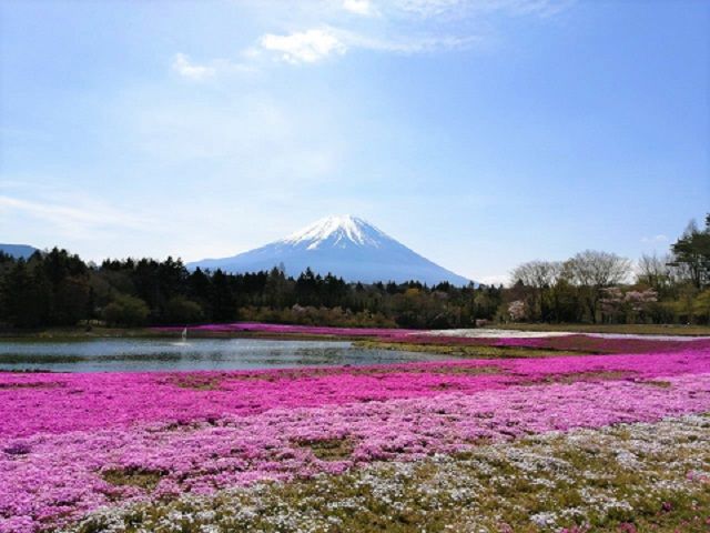 富士山が見える寮に住み込み！周辺環境は不便ですが、買い出しもございます◎