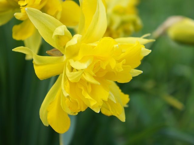 研修がしっかりしている施設だから安心♪人間関係◎！