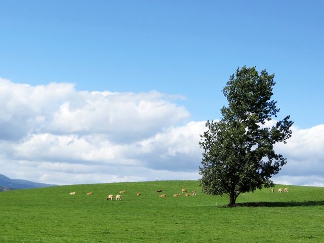 寮写真ご用意しております。お気軽にお問い合わせください。