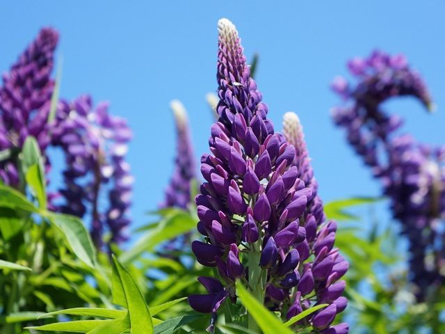 徒歩圏内にコンビニ・スーパー・薬局・100円ショップあります。何かあっても安心！