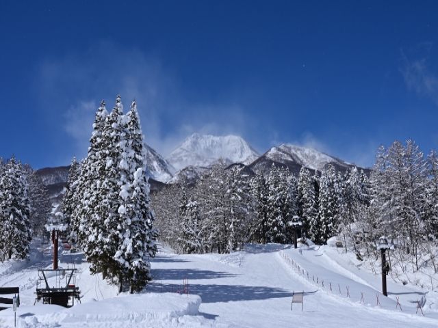 最高の雪質のスキー場が目の前に！