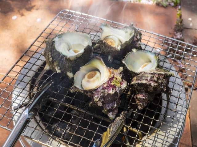 獲れたて新鮮な海鮮もいいですよ～♪