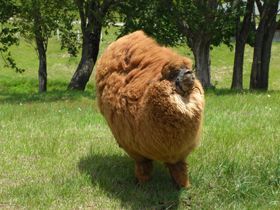 ■自然が豊かな那須エリアです！