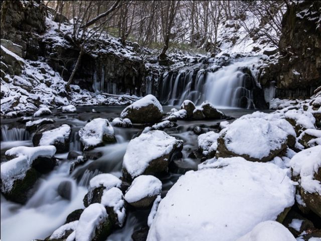 蓼科は自然がいっぱい！素敵な自然スポットもたくさんあります！お休みの日に体験してください♪