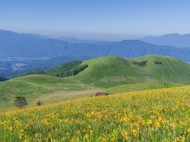 蓼科高原で気持ちの良い風を浴びれる春からのお仕事です★