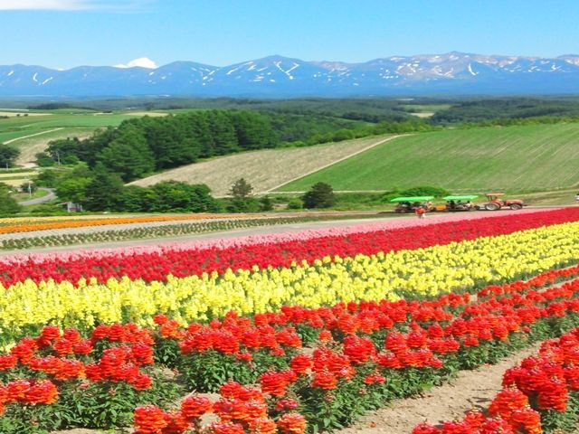 秋の富良野を体験してみませんか。北海道の大自然と素敵なスタッフが、あなたを待っています！