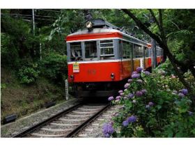 人気エリアの箱根です☆