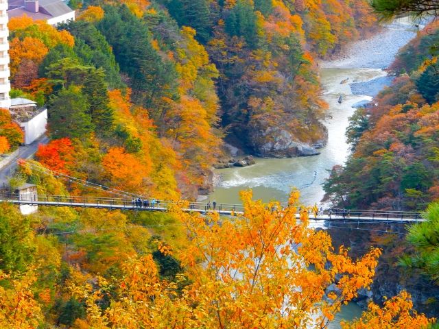 これからは紅葉も楽しめますね☆