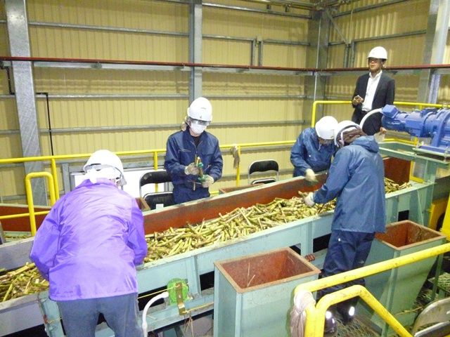 工場作業レア案件です！