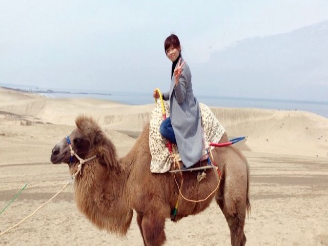 鳥取県のお仕事は意外と珍しい。らくだに会いに行こう
