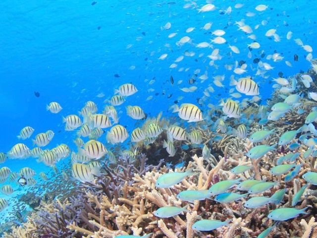 アットホームな環境の中でお仕事ができますよ(^^)