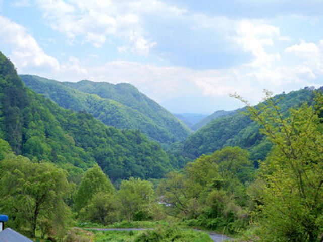 自然に囲まれて、お仕事したい方におすすめ♪