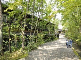 【黒川温泉でフロント】温泉利用可能！アットホームな旅館で働きませんか？