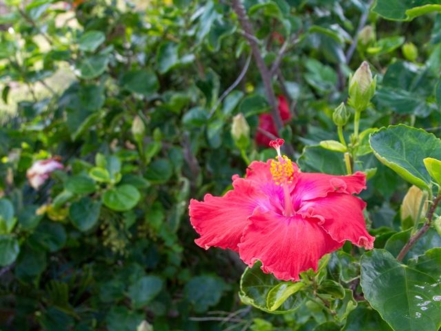 ★沖縄本島・那覇★ゆいレール美栄橋駅から徒歩8分♪