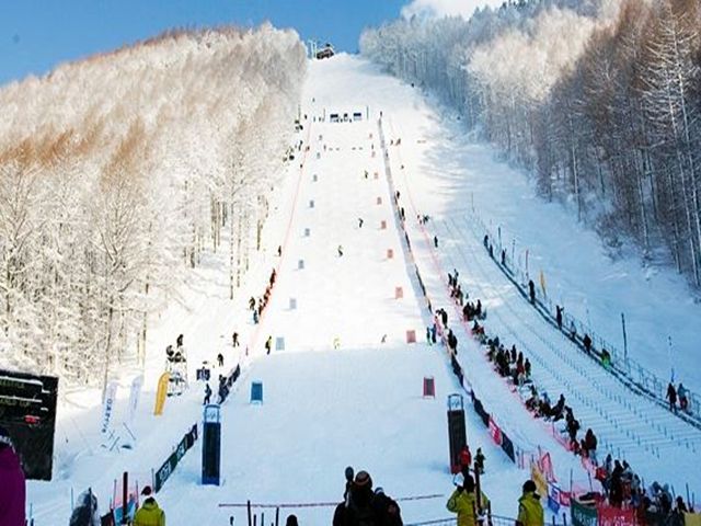 ゲレンデも併設してます！
リフト券・レンタル無料なので休日では滑走可能☆