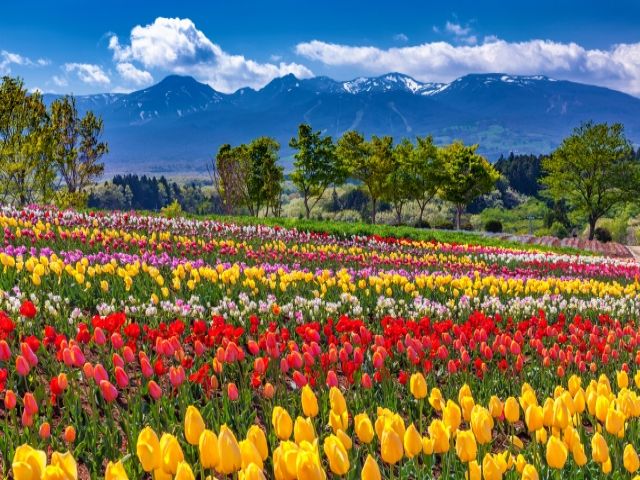 周辺の自然や観光スポットも楽しんでください♪