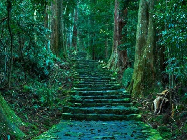 世界遺産の熊野古道にも是非行ってみて下さい！