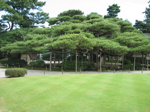 観光名所①兼六園