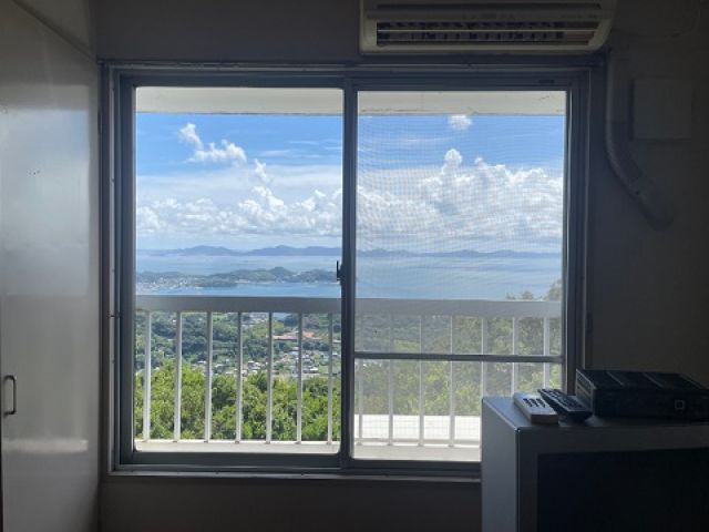 お部屋から見れる景色がとても良きです◆