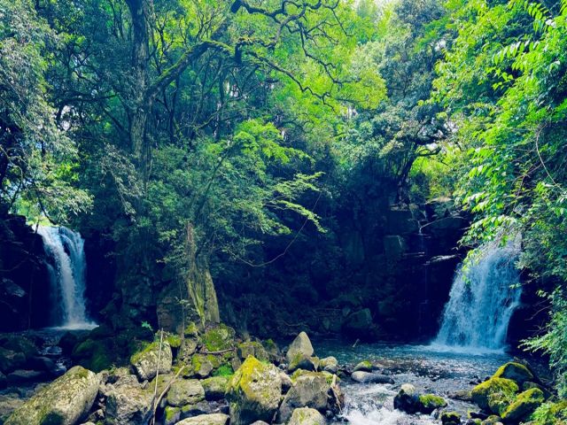 自然を満喫しながら働けます！