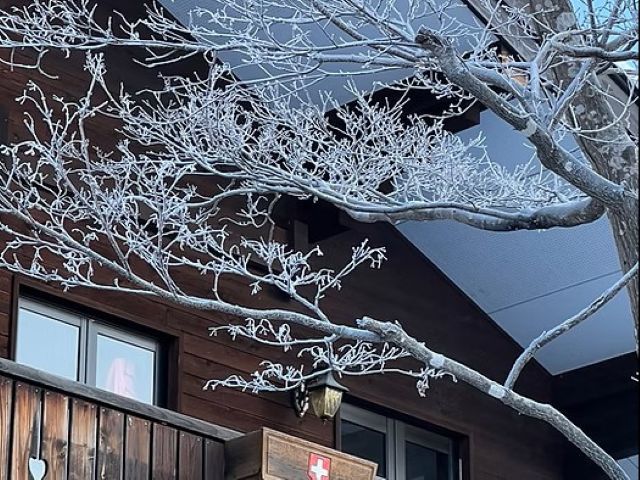 冬の白馬といえばやっぱりふっかふかな雪＊毎日きれいな景色を見られます！