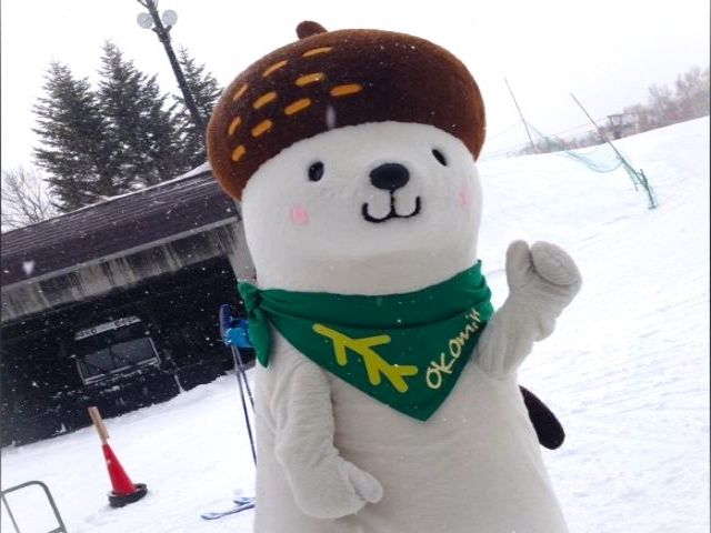 運が良ければご当地キャラクター「おこみん」に出会えるかも！？
これは…モフりたい！！！