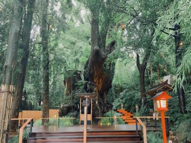 有名な神社もあります