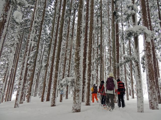 雪道ハイキングに行く、観光客の方が多いです♪お休みの日に是非チャレンジしてください♪