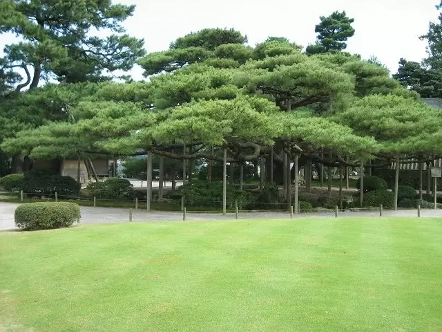 観光名所①兼六園