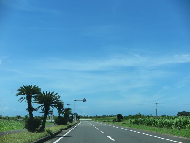 指宿は海も山もありとっても良いところです！