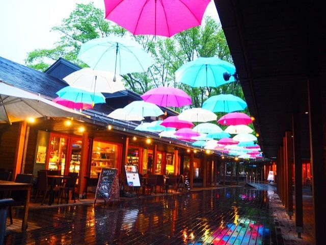 自然豊かなで別荘が立ち並ぶ軽井沢！ハルニレテラス、アウトレットがあり、休日も充実！