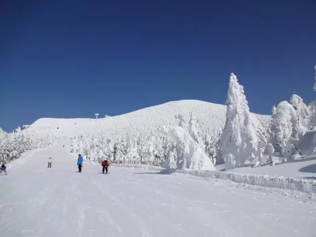 大人気の樹氷を見に行こう!