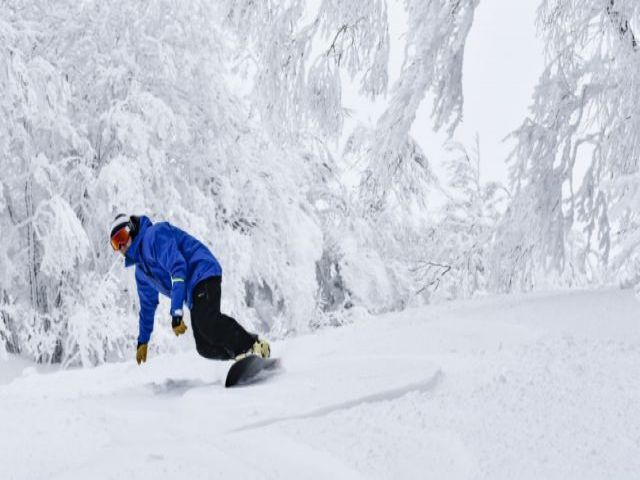 リフト券無料！
レンタルは社員割引あり♪