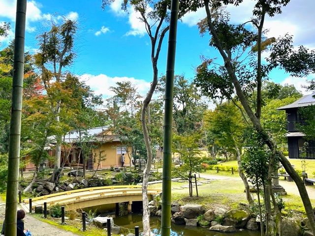 中庭は風情があり、独特の空気感があります。