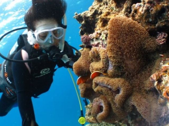 沖縄県読谷村でダイビング資格取得しながらお仕事しましょう！