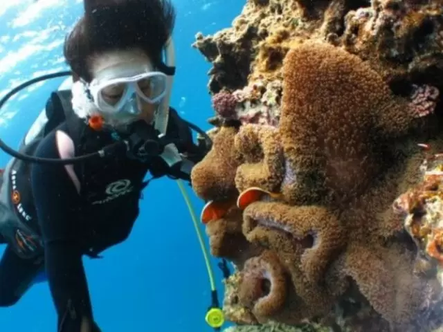 沖縄県読谷村でダイビング資格取得しながらお仕事しましょう！