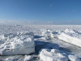 大自然を満喫しにいらっしゃってください♪