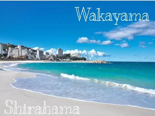 大人気の白浜エリア！！