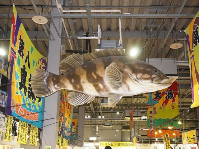 とれとれ市場に行こう！