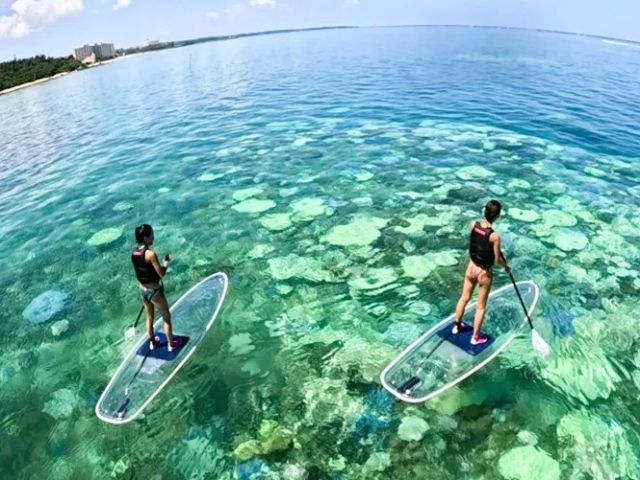 クリアSUP等のマリンアクティビティがあります！！