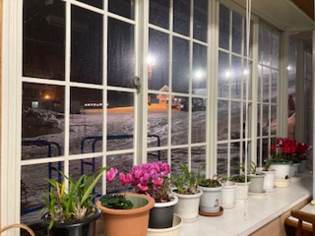 スキー場はナイターも行っており、ロッヂを出てすぐにスキー場です！